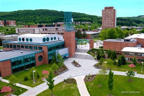 binghamton university|binghamton university portal.